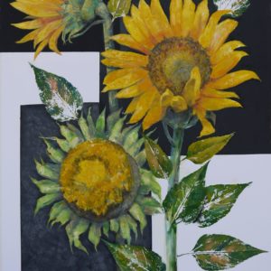 Мария Аристова - Цветы солнца